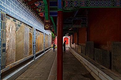 《宝可梦 朱＆紫》真人CM公布 游戏明日发售